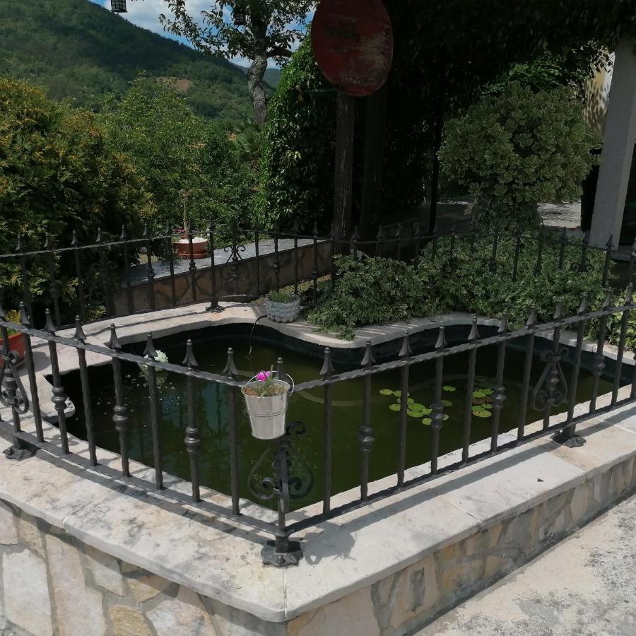 Holiday House Dol Cerovlje 외부 사진